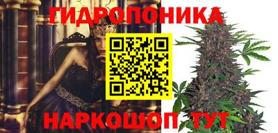 mdpv Боровичи